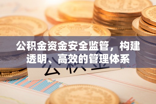 南投公积金资金安全监管，构建透明、高效的管理体系