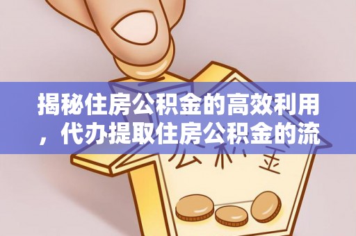 南投揭秘住房公积金的高效利用，代办提取住房公积金的流程与技巧