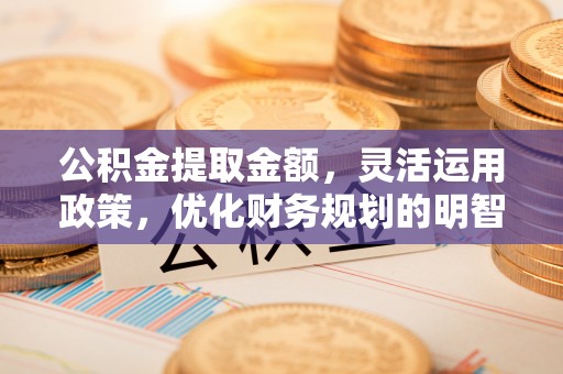 南投公积金提取金额，灵活运用政策，优化财务规划的明智选择