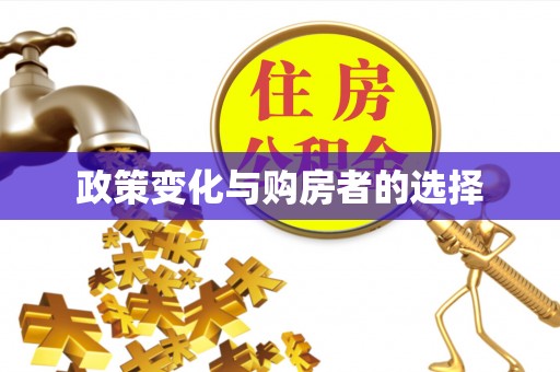 南投政策变化与购房者的选择