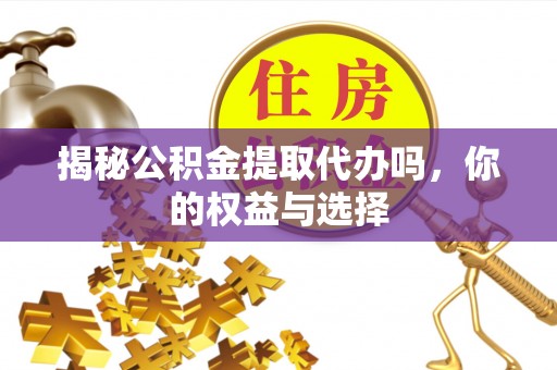 南投揭秘公积金提取代办吗，你的权益与选择