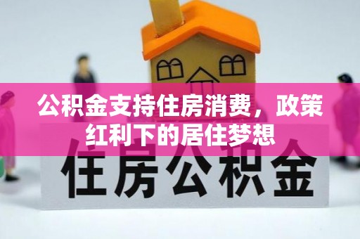 南投公积金支持住房消费，政策红利下的居住梦想
