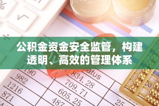南投公积金资金安全监管，构建透明、高效的管理体系