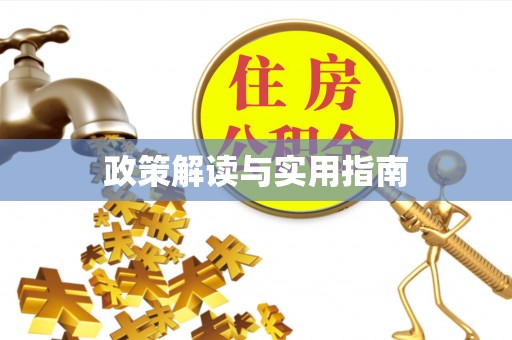 南投政策解读与实用指南