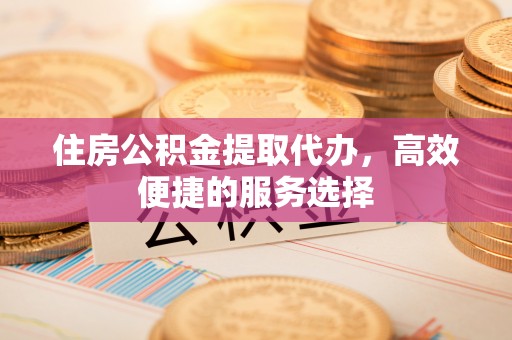 南投住房公积金提取代办，高效便捷的服务选择