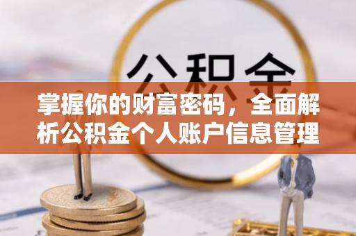 南投掌握你的财富密码，全面解析公积金个人账户信息管理