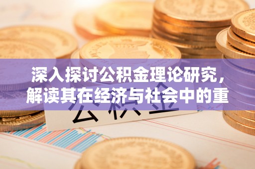 南投深入探讨公积金理论研究，解读其在经济与社会中的重要角色