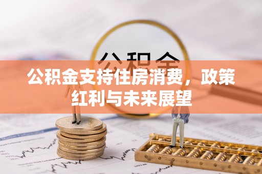 南投公积金支持住房消费，政策红利与未来展望