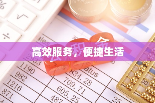 南投高效服务，便捷生活