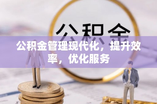 南投公积金管理现代化，提升效率，优化服务