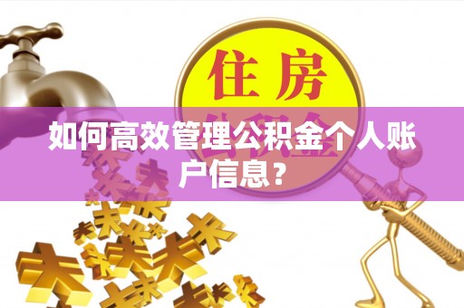 南投如何高效管理公积金个人账户信息？