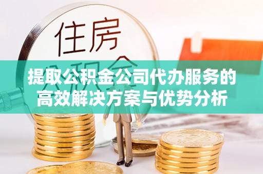 南投提取公积金公司代办服务的高效解决方案与优势分析