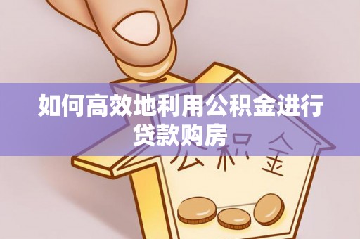 南投如何高效地利用公积金进行贷款购房