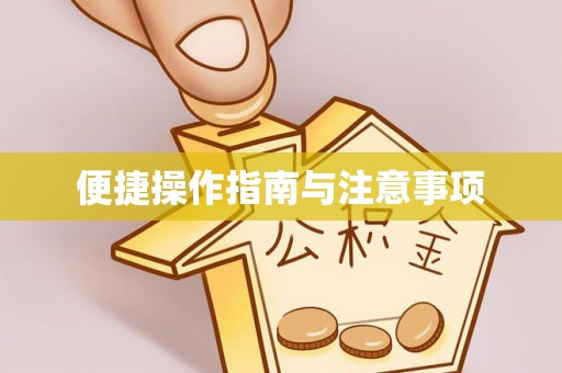 南投便捷操作指南与注意事项